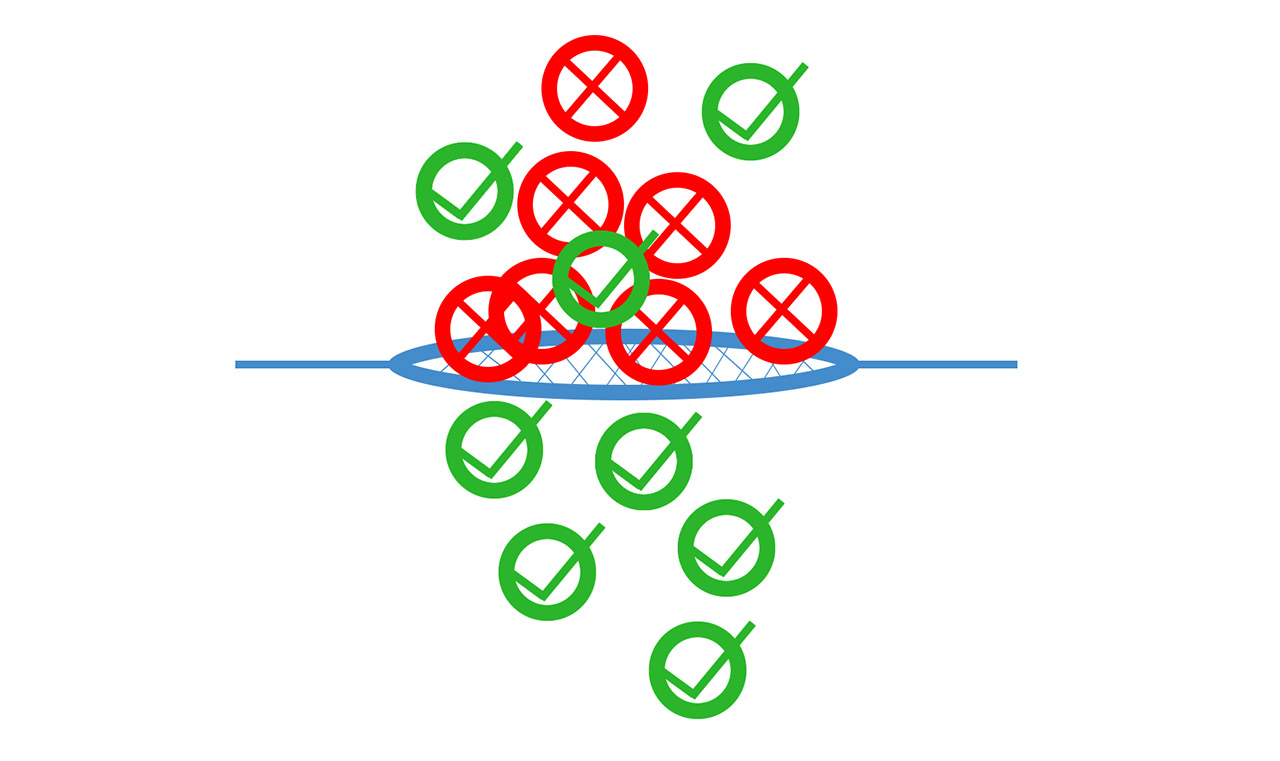 Screenshot of Project Two